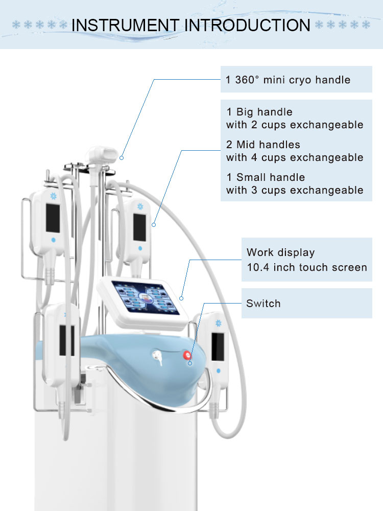 5 handles 360 cryolipolysis slimming machine